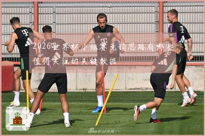 2026世界杯小组赛竞猜思路有哪些值得关注的关键数据