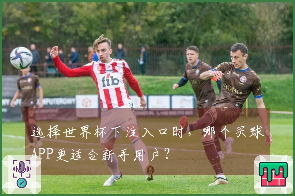 选择世界杯下注入口时，哪个买球APP更适合新手用户？