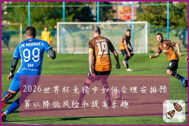 2026世界杯竞猜中如何合理安排预算以降低风险和提高乐趣